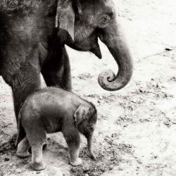 Mother and Daughter | Obraz na stenu