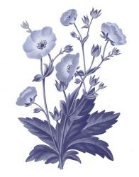 Dark Blue Botanical VI | Obraz na stenu