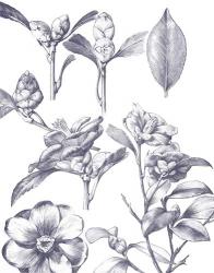 Lithograph Florals II Blue | Obraz na stenu