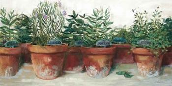 Pots of Herbs I White | Obraz na stenu