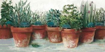 Pots of Herbs II White | Obraz na stenu