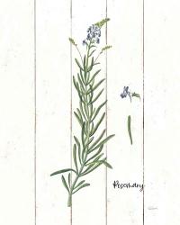 Cottage Herbs I | Obraz na stenu