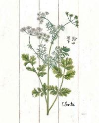 Cottage Herbs III | Obraz na stenu