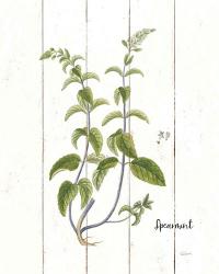 Cottage Herbs IV | Obraz na stenu
