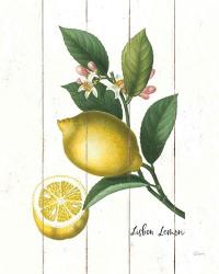 Cottage Lemon I | Obraz na stenu