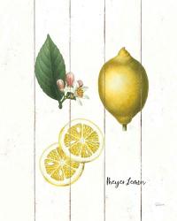 Cottage Lemon II | Obraz na stenu