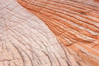 Coyote Buttes VI | Obraz na stenu