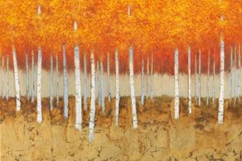Autumn Birches | Obraz na stenu