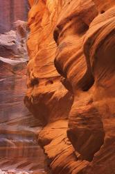 Buckskin Gulch III | Obraz na stenu