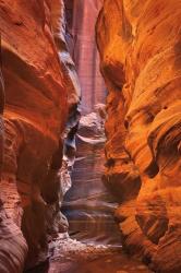 Buckskin Gulch IV | Obraz na stenu