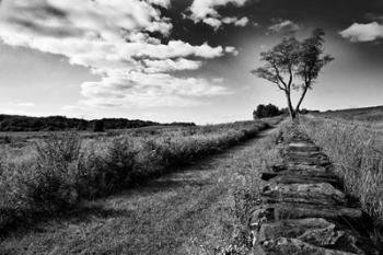 Stone Wall | Obraz na stenu