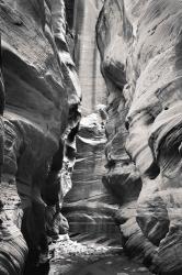 Buckskin Gulch IV BW | Obraz na stenu