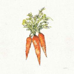 Veggie Market V Carrots | Obraz na stenu