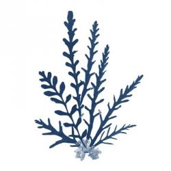 Pacific Sea Mosses Blue on White III | Obraz na stenu
