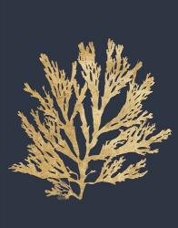 Pacific Sea Mosses I Indigo | Obraz na stenu