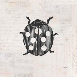 Ladybug Stamp BW | Obraz na stenu