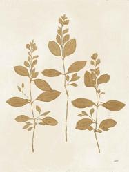 Botanical Study IV Gold Crop | Obraz na stenu