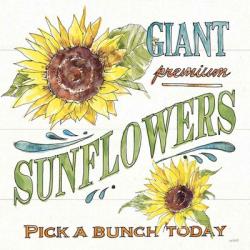 Sunflower Fields IV | Obraz na stenu