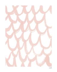 Scallop II | Obraz na stenu