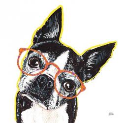 Bespectacled Pet IV | Obraz na stenu