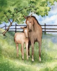 Farm Family Horses | Obraz na stenu