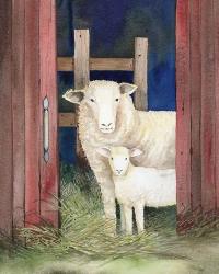 Farm Family Sheep | Obraz na stenu