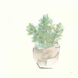 Succulent II | Obraz na stenu