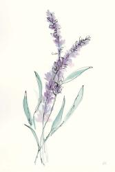 Lavender IV | Obraz na stenu