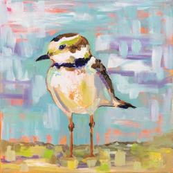 Coastal Plover II | Obraz na stenu