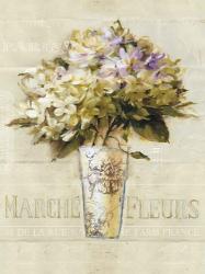 Marche de Fleurs Bouquet | Obraz na stenu