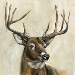 Bronze Deer | Obraz na stenu