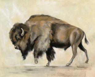 Bronze Buffalo | Obraz na stenu