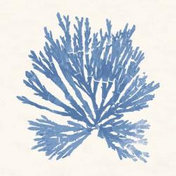 Pacific Sea Mosses II Light Blue | Obraz na stenu