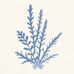 Pacific Sea Mosses III Light Blue | Obraz na stenu
