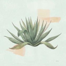 Desert Color Succulent I Mint | Obraz na stenu