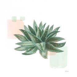 Desert Color Succulent II Mint | Obraz na stenu