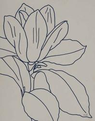 Magnolia Line Drawing v2 Gray Crop | Obraz na stenu