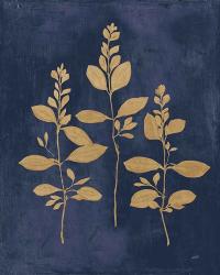 Botanical Study IV Gold Navy | Obraz na stenu
