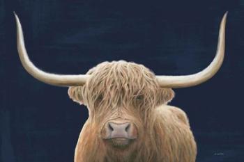 Highland Cow Navy | Obraz na stenu
