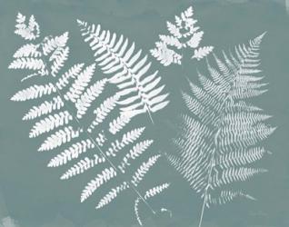 Nature by the Lake Ferns II Gray Mist Crop | Obraz na stenu