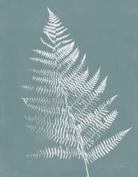 Nature by the Lake Ferns VI Gray Mist Crop | Obraz na stenu