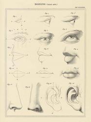 Face Chart | Obraz na stenu