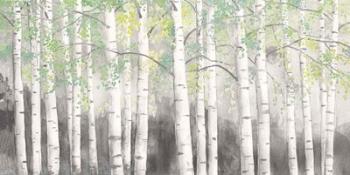 Soft Birches Charcoal | Obraz na stenu