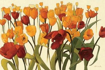 Tulipomania | Obraz na stenu