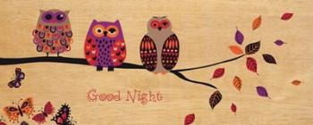 Good Night Owl | Obraz na stenu