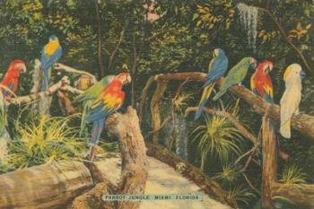 Florida Postcard II | Obraz na stenu