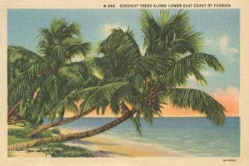 Florida Postcard III | Obraz na stenu