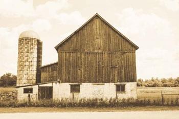 Weathered III Sepia | Obraz na stenu