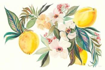 Citrus Summer I | Obraz na stenu