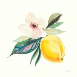 Citrus Summer III | Obraz na stenu